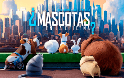 LXXXV | ES POSIBLE Y/O POSITIVO LLEVAR MASCOTAS A LA OFICINA?